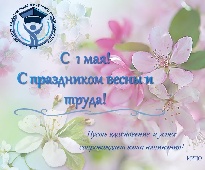 WhatsApp Image 2025 05 01 at 11.18.06