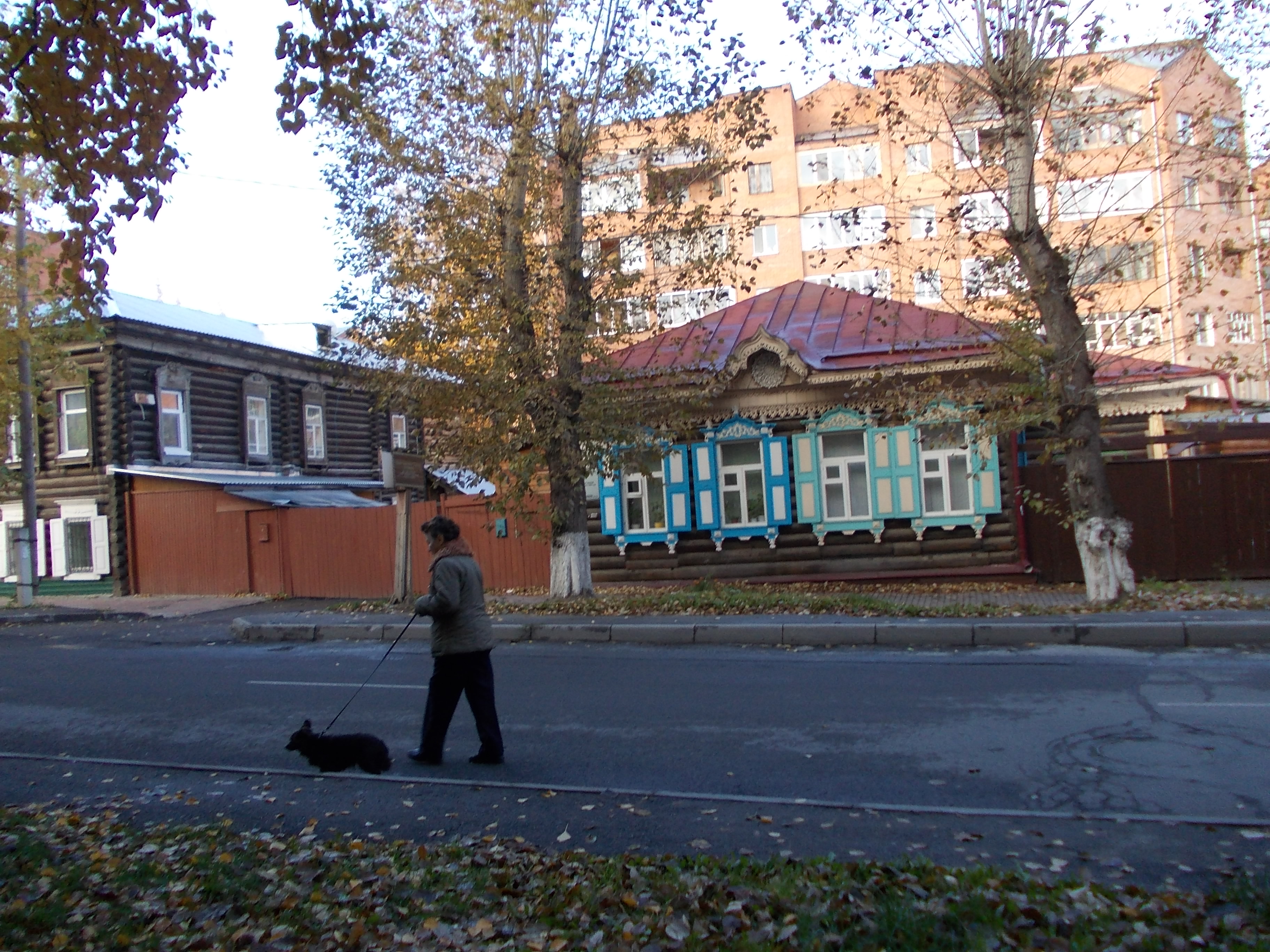 Бурцева И.Г. 21 век. Дама с собачкой