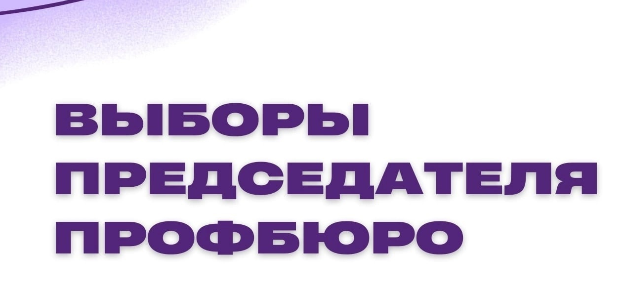 выборы.png