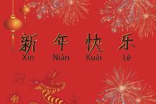 新年快乐! 祝您在新的一年里身体健康，事业兴隆，万事如意!