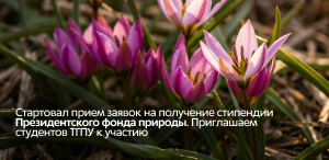 Стартовал прием заявок на получение стипендии Президентского фонда природы. Приглашаем студентов ТГПУ к участию