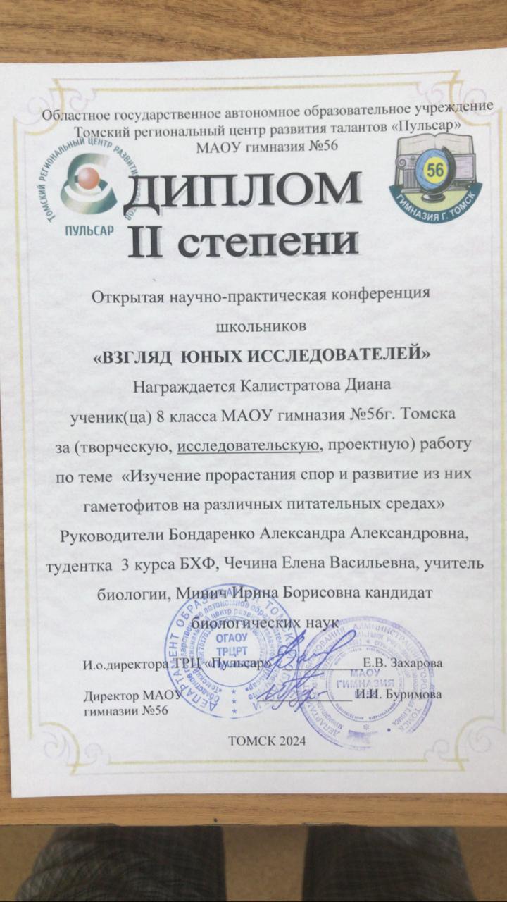 Диплом 2024