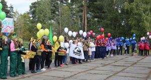 Изображение галереи