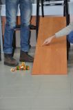 Изображение галереи 
