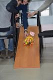 Изображение галереи 