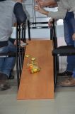 Изображение галереи 