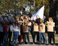 Изображение галереи