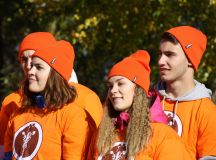 Изображение галереи