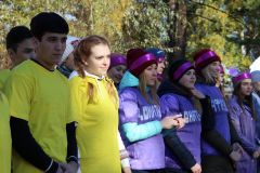 Изображение галереи