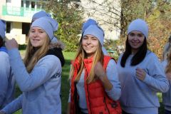 Изображение галереи