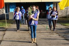 Изображение галереи