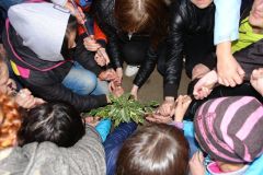 Изображение галереи