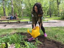 Изображение галереи 