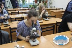 Изображение галереи 