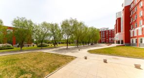 Изображение галереи 
