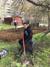 Изображение 13