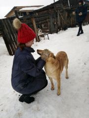 Изображение 2